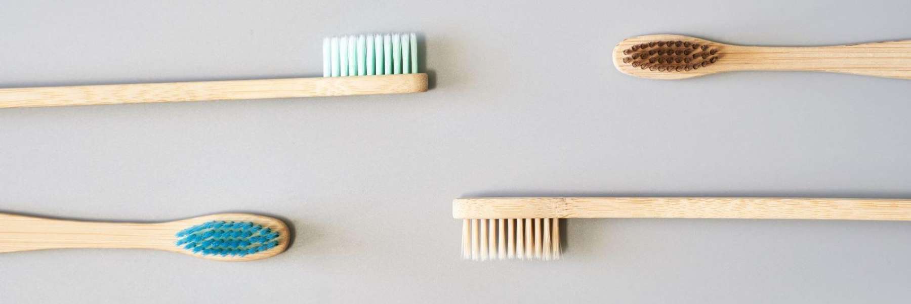 close up of toothbrushes | dentist mccrae vic